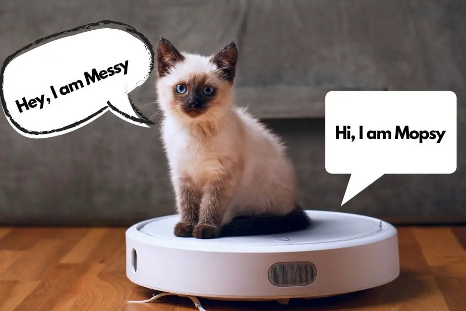 Funny Roomba Names