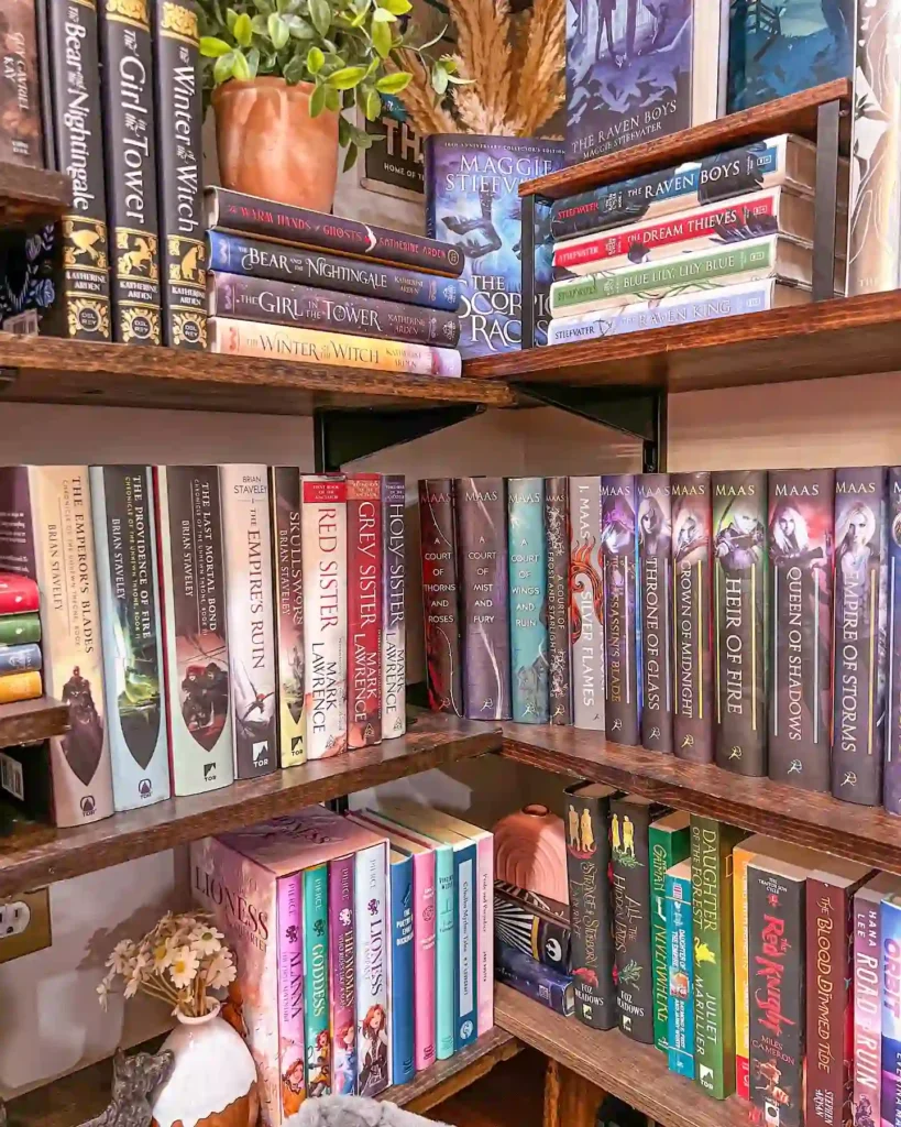 A Book Lover’s Paradise: Color, Charm, and Organization idea1