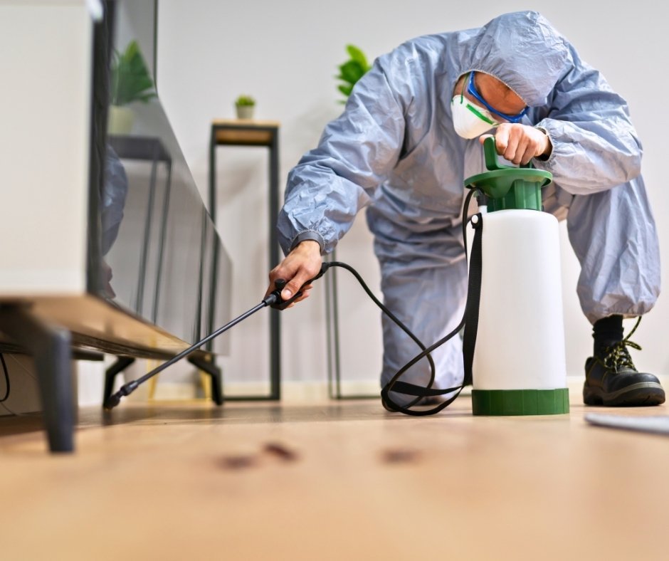 Pest Control Services