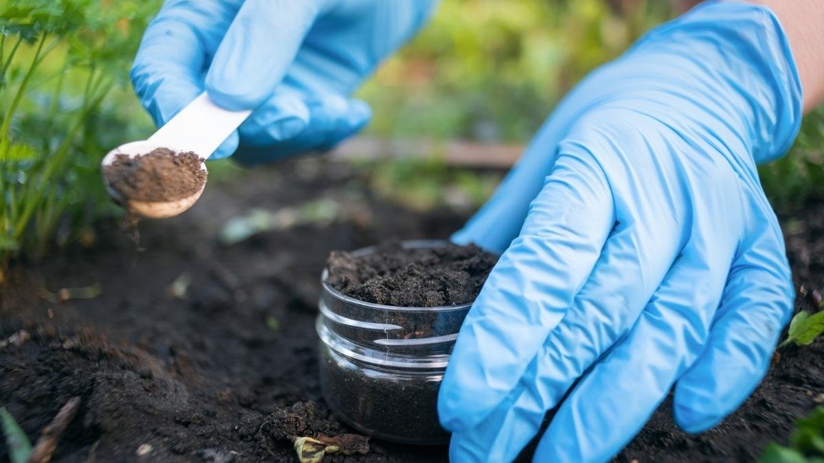 The Science Behind Why Soil Beats Silicon