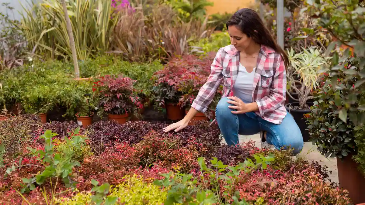 "Chaos Gardening" Ideas for Small Patios – Low-Maintenance, High-Yield Gardens
