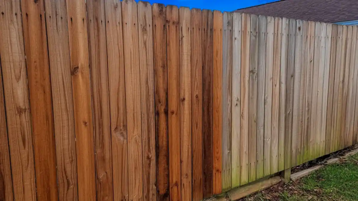 Deep Mahogany Wet-Look Fence – Revealing the Grain Before Staining