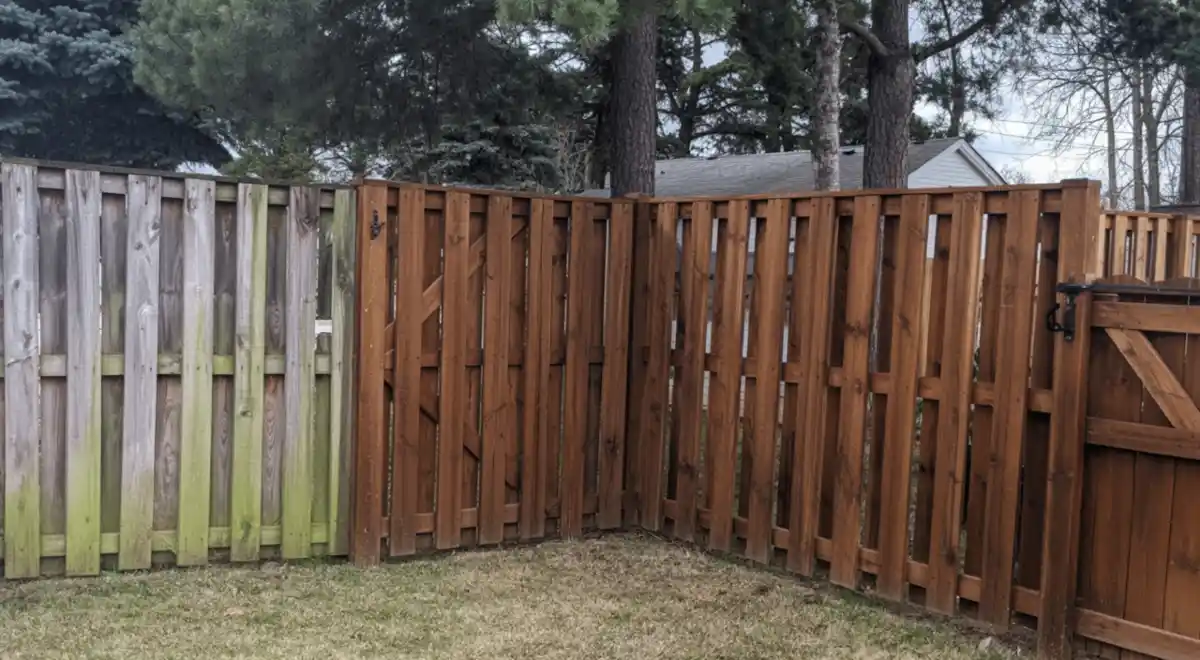 Deep Walnut Shadowbox – Restoring the Richness Before Staining