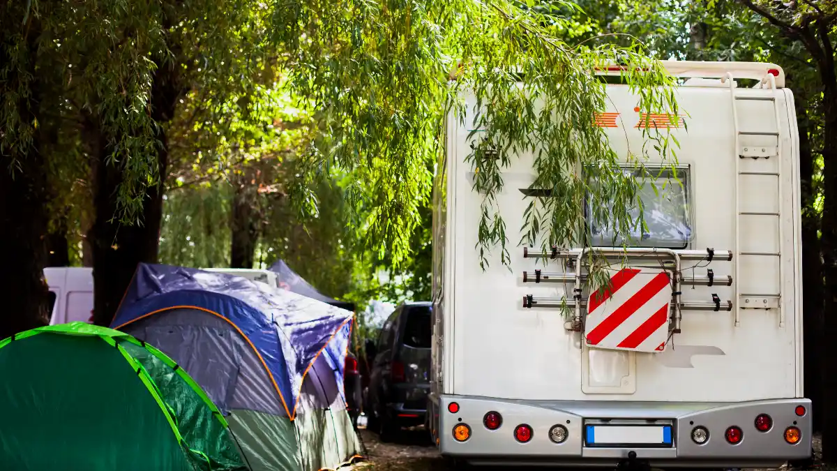 Securing the RV Directly Under Trees or Near Utility Poles/Structures