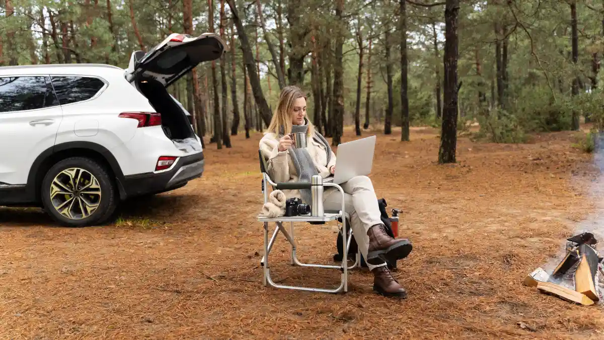 high-Demand Seasonal or Local Gig Work