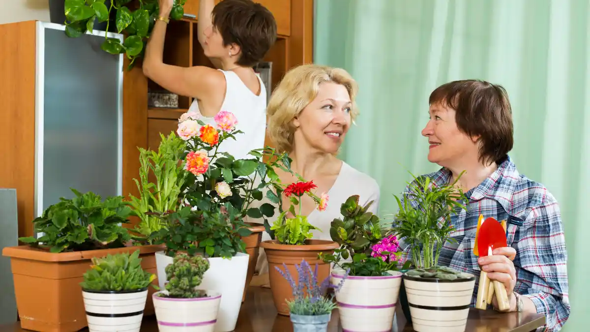 Container Garden Arrangements – Pot Combination Ideas for Front Porches