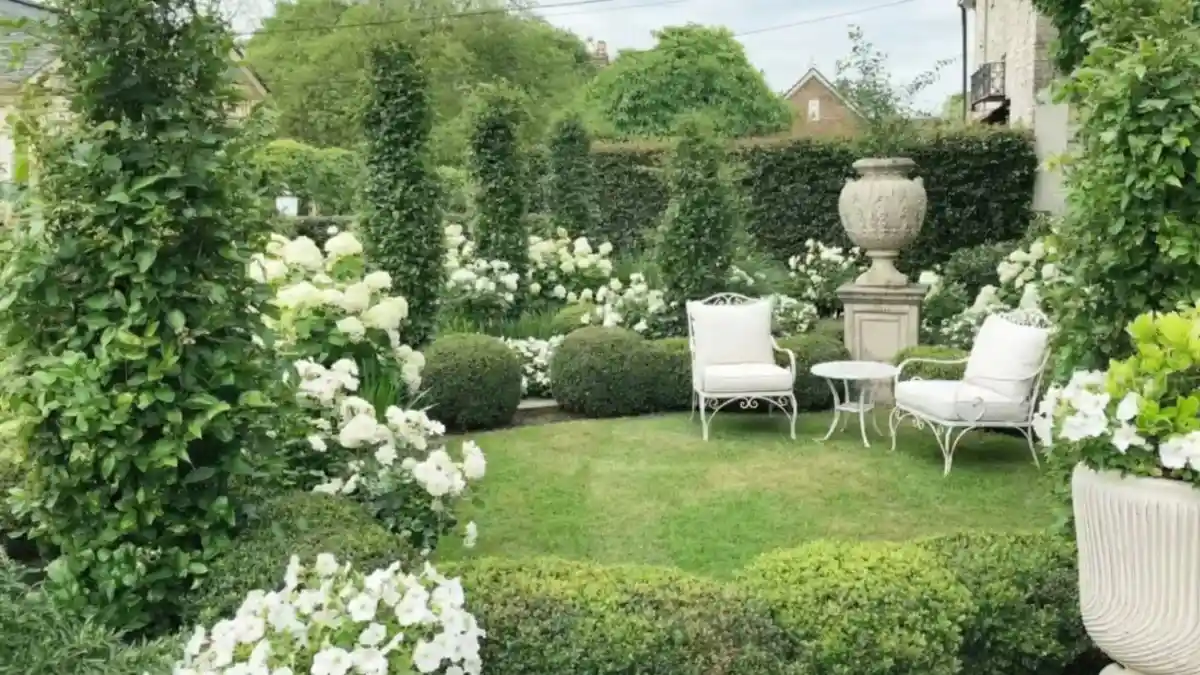 Formal Boxwood & Hydrangea Retreat – A Sculptural Take on Moonlit Glow