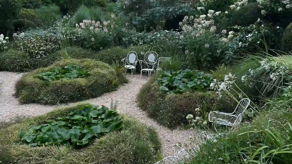 Sculptural Green Mounds and Airy White Blooms – A Moon Garden Stroll