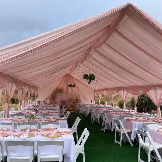 Rosy Garden Canopy - Baby in Bloom Shower with an Airy Twist